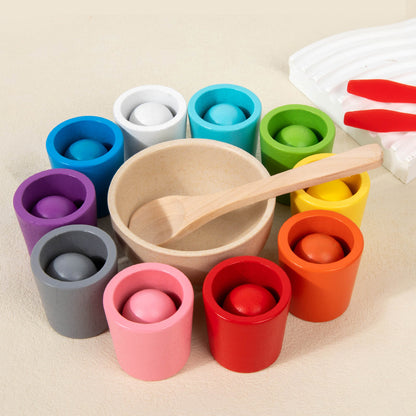 Montessori Wooden Rainbow Ball Color
